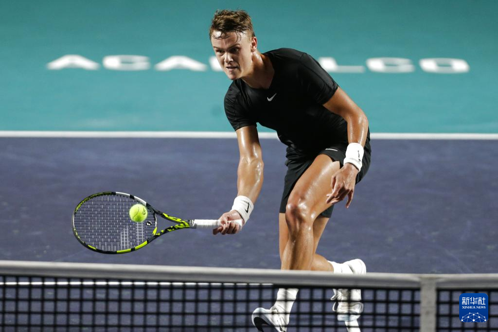 任与领导力 任与领导力