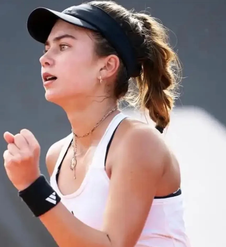 灰色流量被 灰色流量被